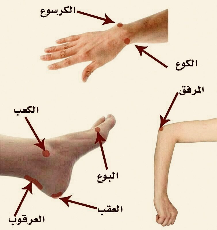 الكوع والبوع والكرسوع